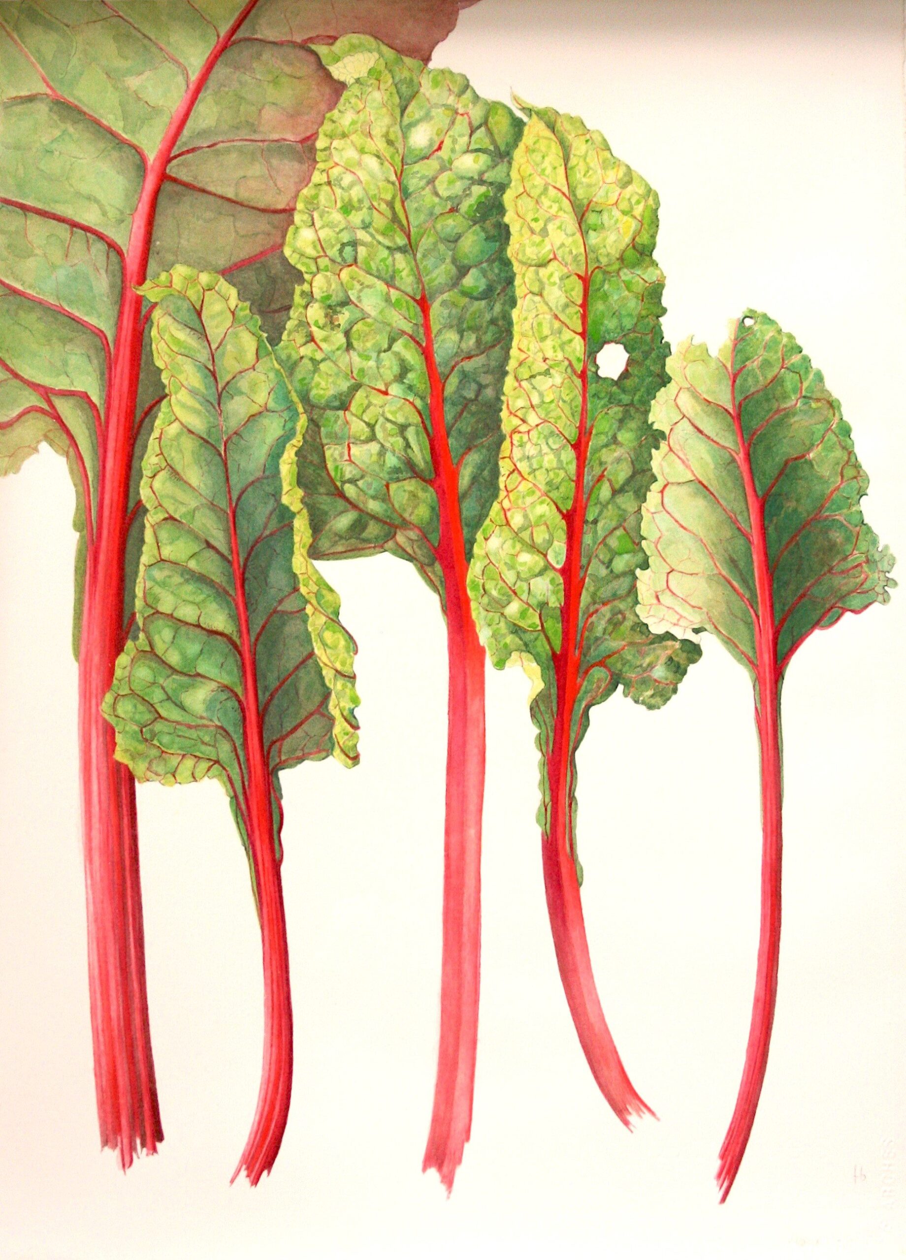 Drawing Workshops 2023-2024