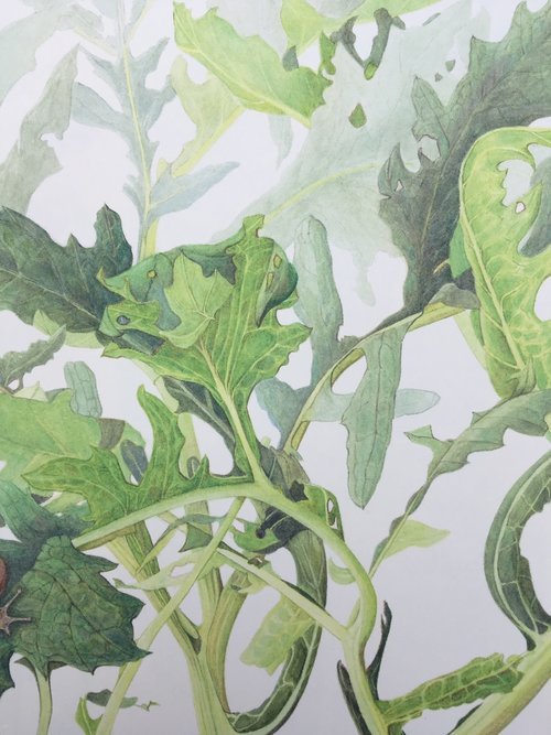 Field Trip to Transylvania 2016